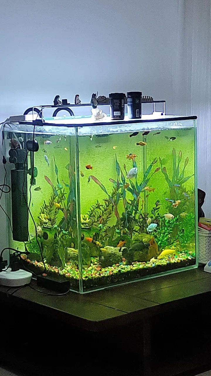 Aquário completo 56 litros  - Foto 6