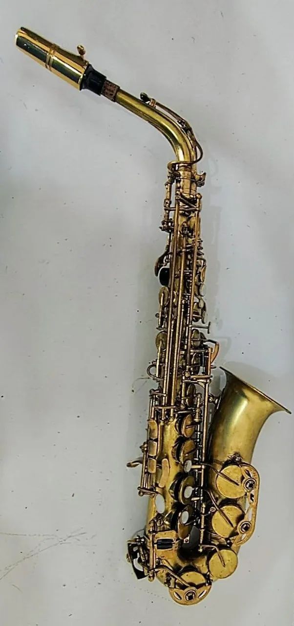 Sax alto Shelter  - Foto 2