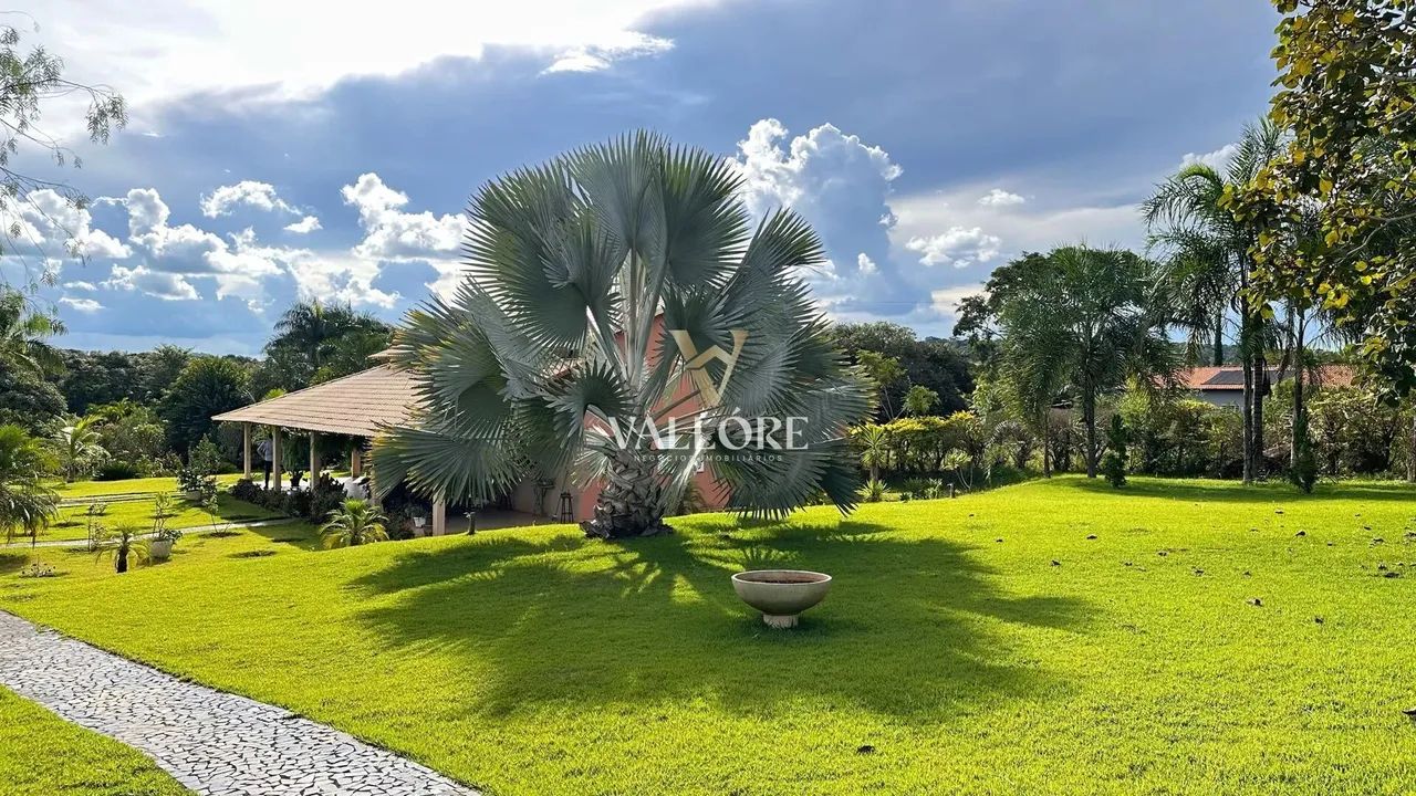 Ribeirão da Cachoeira - Chácara 7.200m² com ribeirão, pomar raro, 2 casas e aceita pets  N - Foto 12