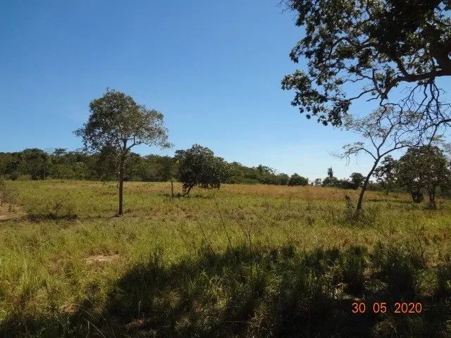 Sitio 55,00 hectares Região Várzea Grande - Foto 4