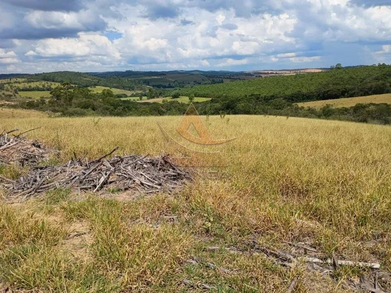 Fazenda - Arcos - Zona Rural - Foto 3