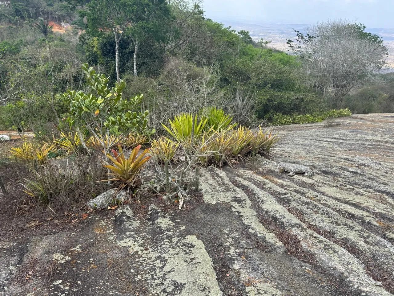 Vendo terreno na Serra Negra extra  - Foto 3
