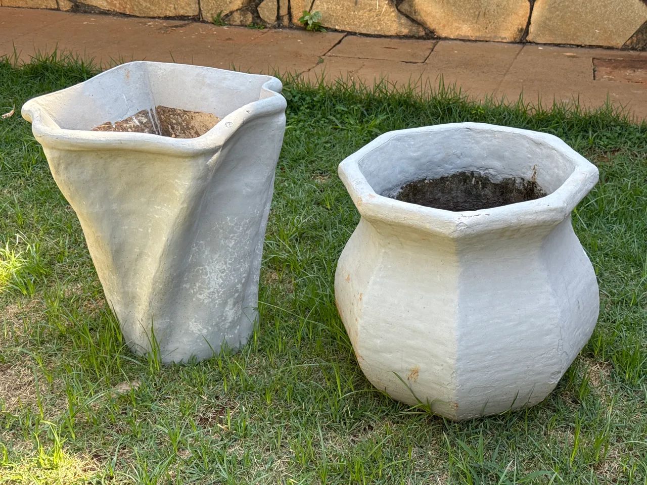 Vasos plantas