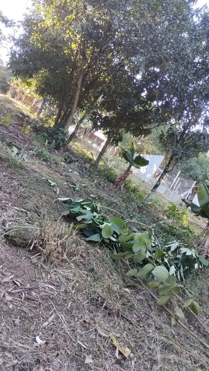 Terreno 500 metros - Foto 2