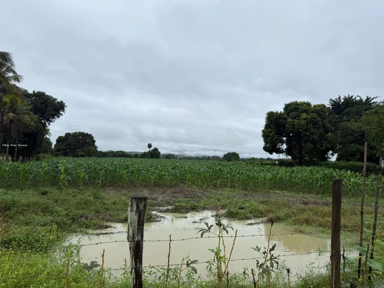 EXCELENTE OPORTUNIDADE EM CACHOEIRAS DE MACACU/RJ - Foto 2