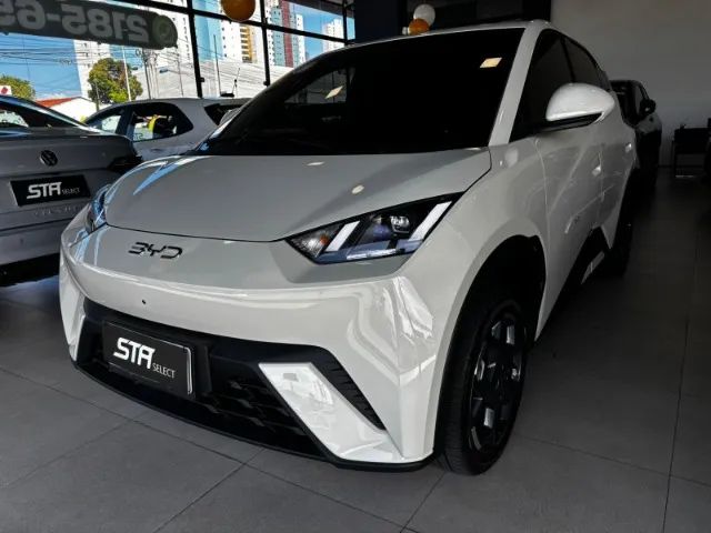 BYD Dolphin Mini (Elétrico) 2027