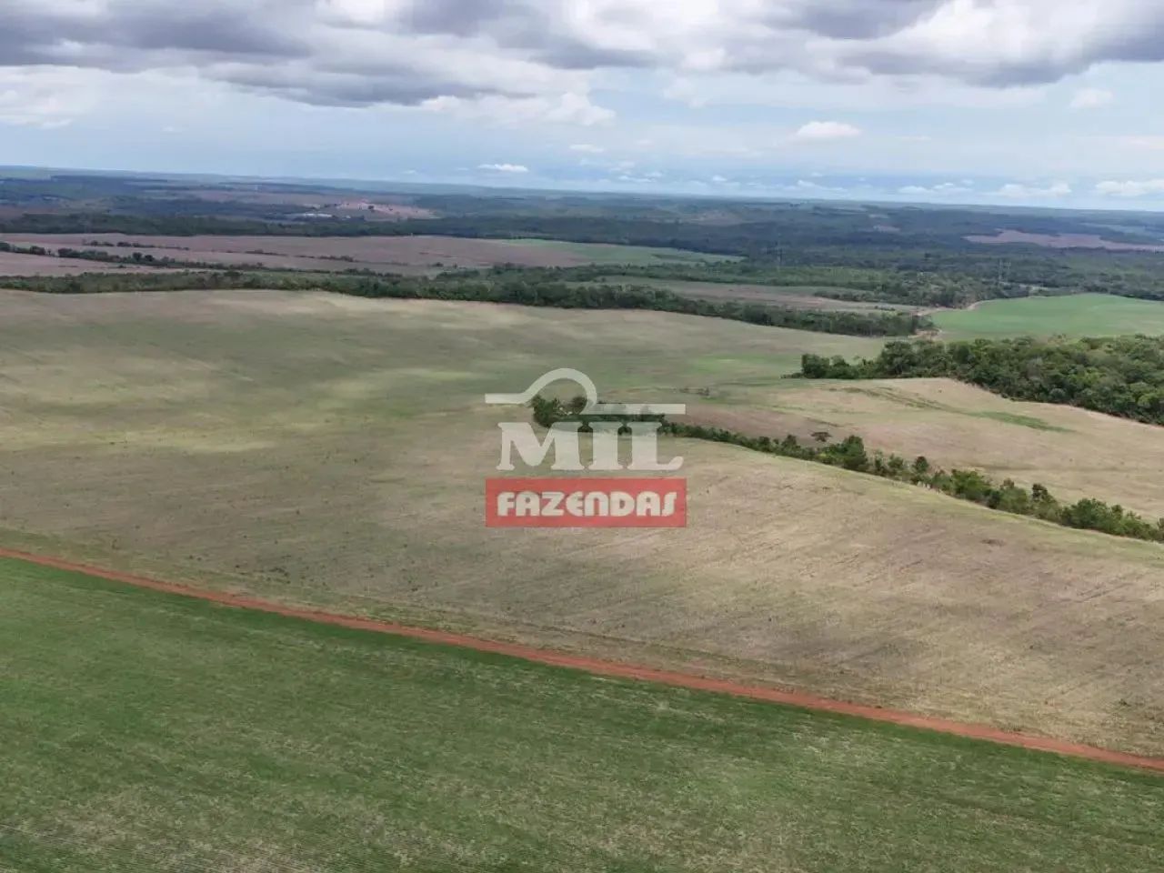 Fazenda 116 alqueires (563,65 hectares) Pedro Afonso - To - Foto 4