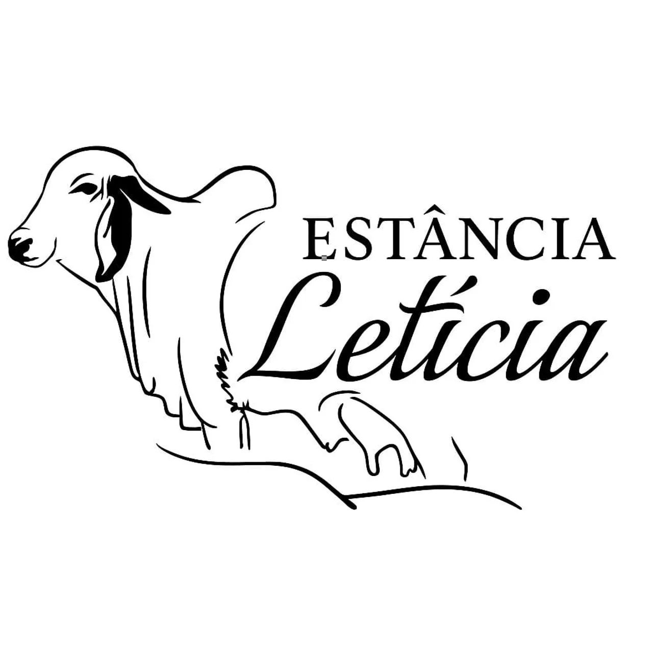 Venda de Vaca Leiteira Jersey  - Foto 2