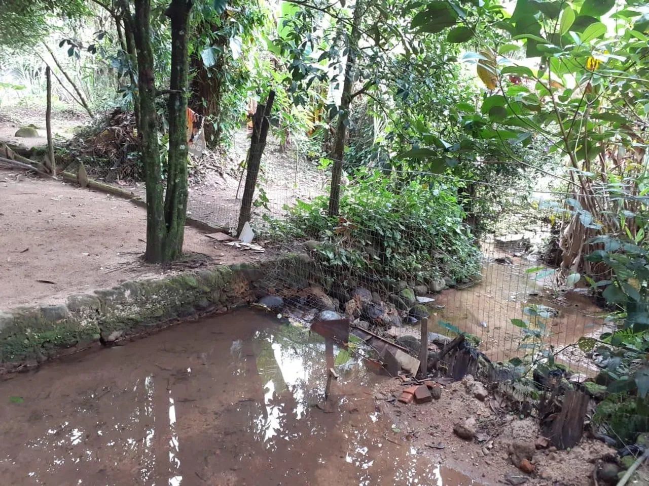 Sítio em Ariró Angra dos Reis  - Foto 5