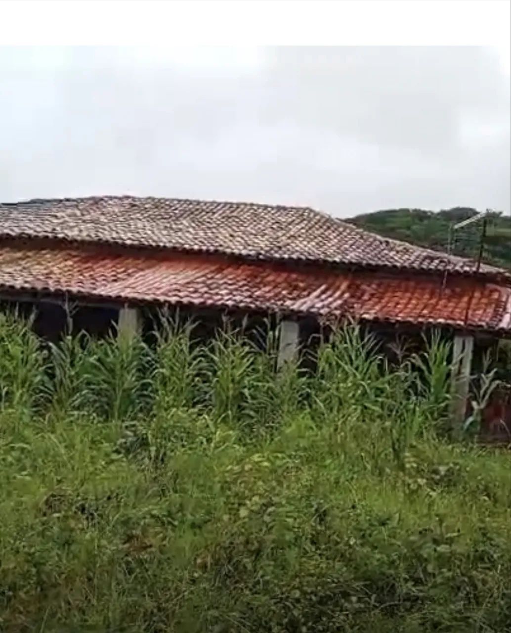 Fazenda Tropical  - Foto 3