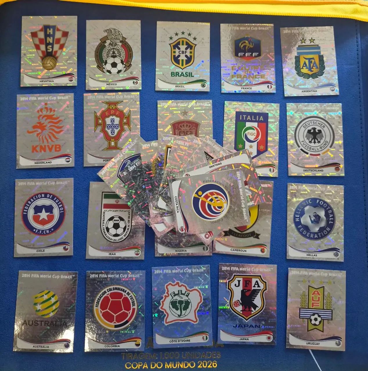 Escudos Copa 2010 - Foto 2