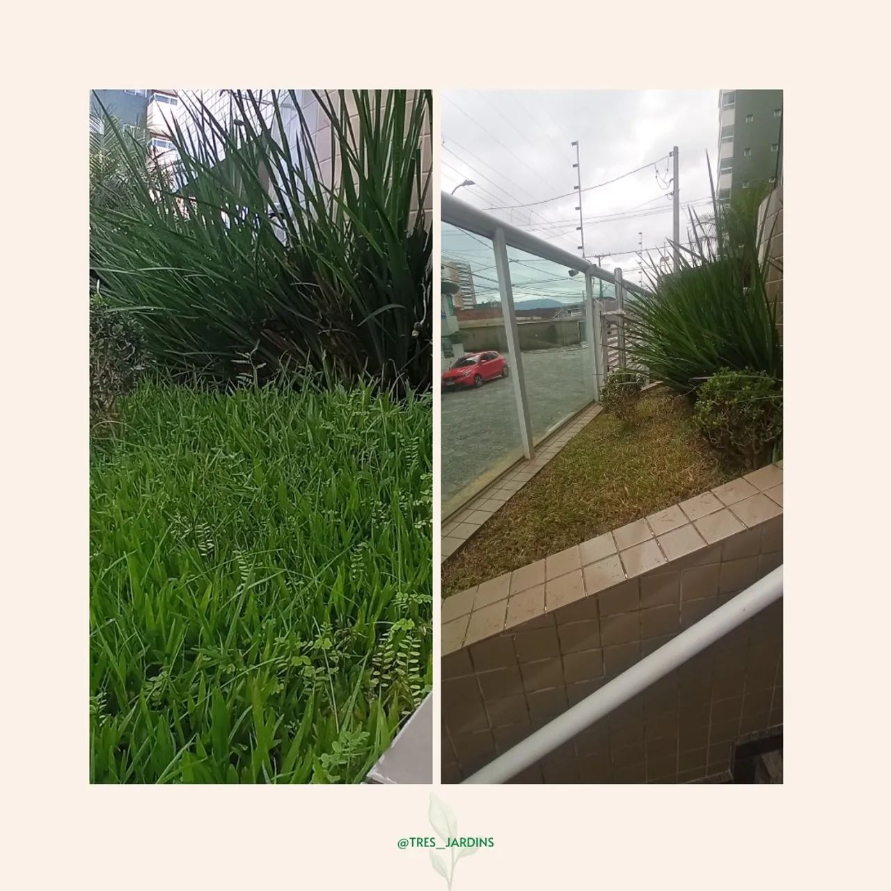 Jardineiro em Santos e Região  - Foto 3