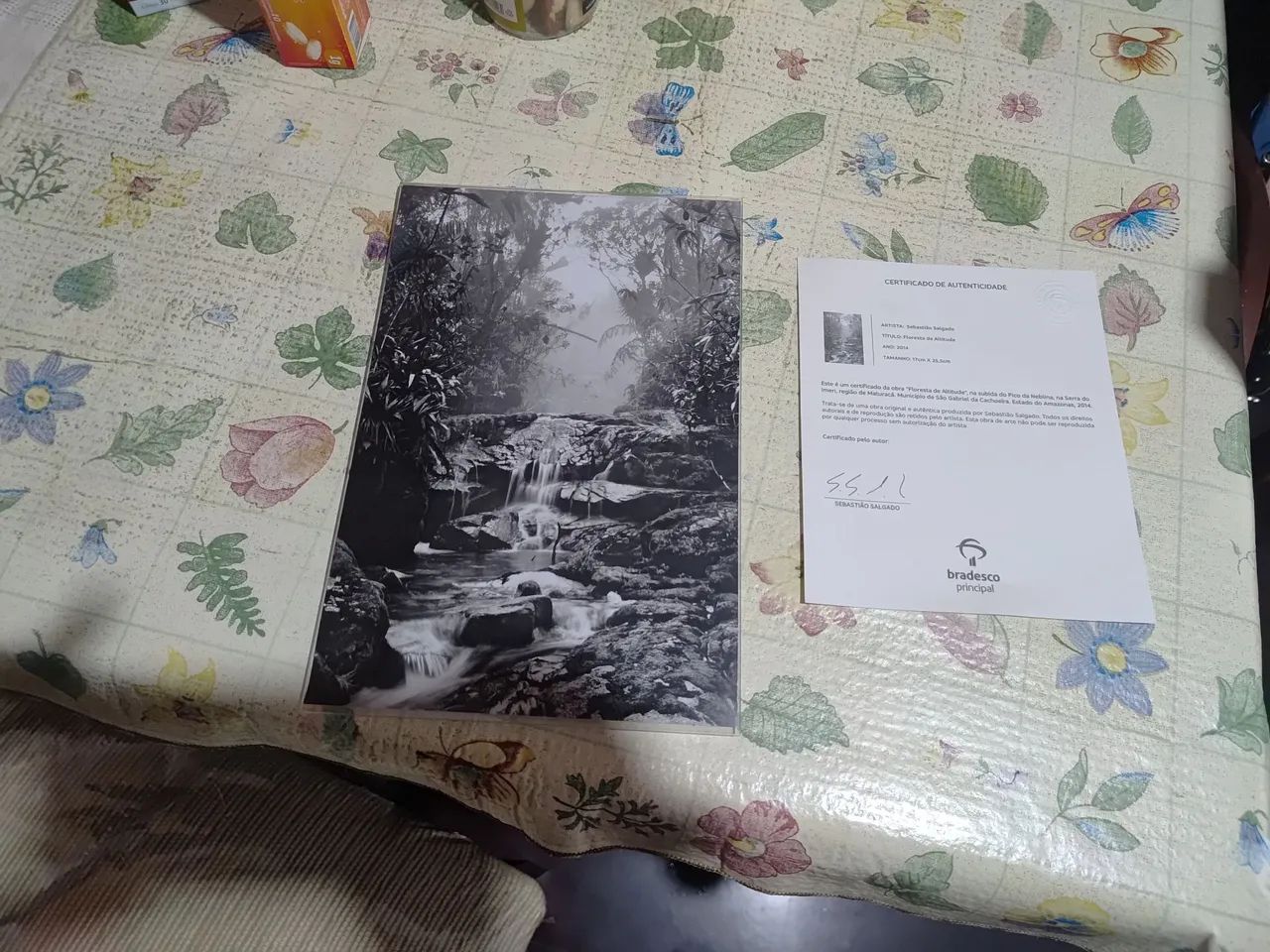 Fotografia Sebastião Salgado "Floresta de Altitude" Original Com Certificado - Foto 3