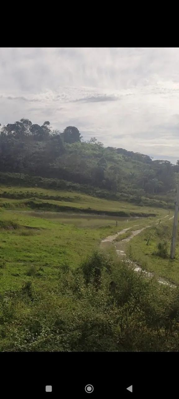 SITIO EM SETE BARRAS, VALE DO RIBEIRA - Foto 3