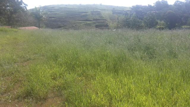 Terreno para granja condomínio enseada na represa joao penido - Foto 3