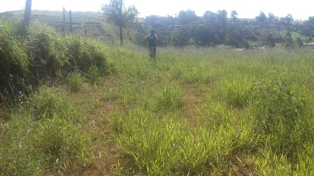 Terreno para granja condomínio enseada na represa joao penido - Foto 11