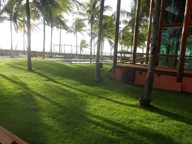 Gleba de Terras, Ilha de Tubarão, Camamu-BA - Foto 9