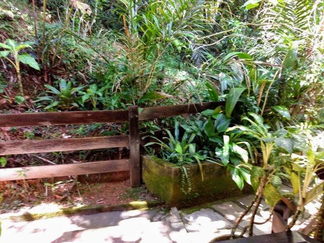 Oportunidade Sitio em Teresópolis - Foto 7