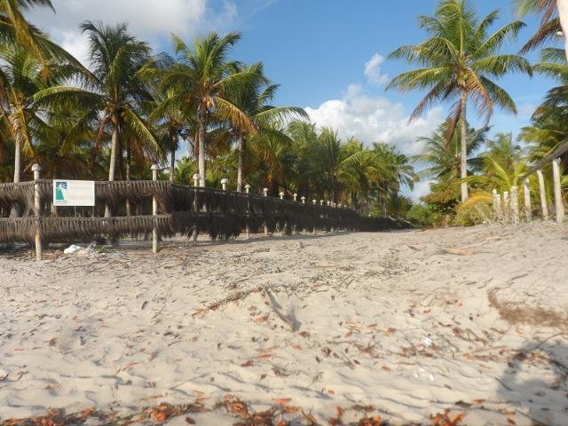 Gleba de Terras, Ilha de Tubarão, Camamu-BA - Foto 11