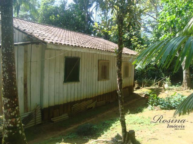 Linda chácara medindo 02 alqueires no rio sagrado em morretes. - Foto 5