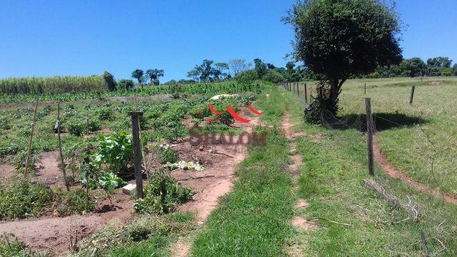 8051 | Chácara à venda em NÃO INFORMADO, IGUARAÇU - Foto 6
