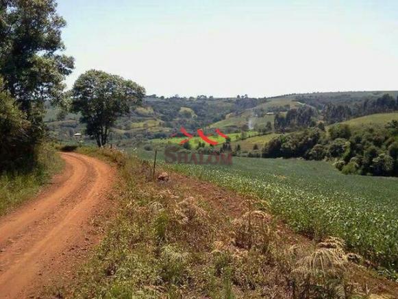 8051 | sítio à venda em não informado, pitanga - Foto 5