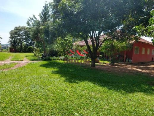 8051 | sítio à venda em não informado, barão de lucena - Foto 4
