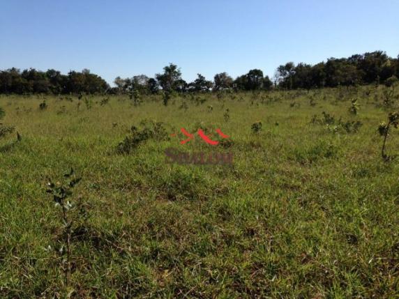 8051 | fazenda à venda em não informado, itiquira - Foto 6