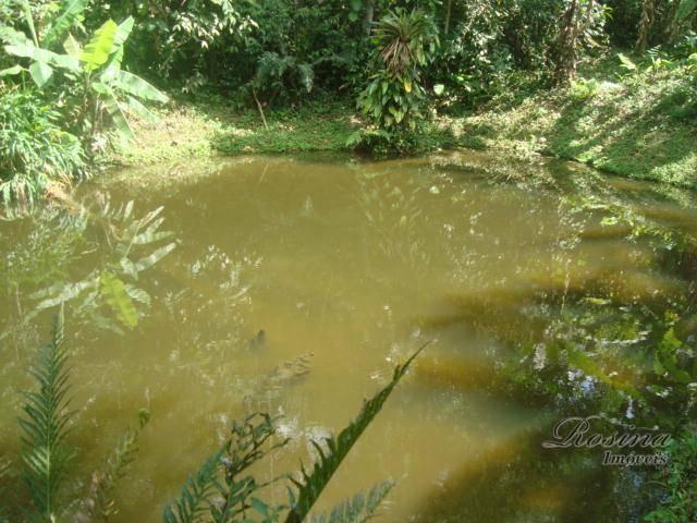 Linda chácara medindo 02 alqueires no rio sagrado em morretes. - Foto 20