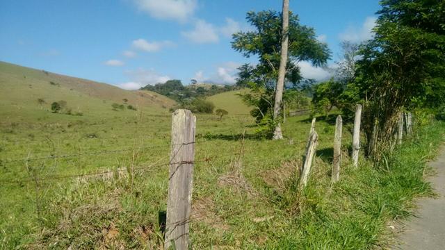 Fazenda com casa sede e casas de caseiro (Canas/SP) - Foto 3