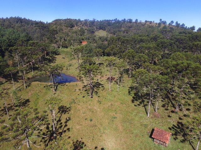 Propriedade Rural em São Francisco de Paula/RS - Rincão dos Kroeff - Foto 6
