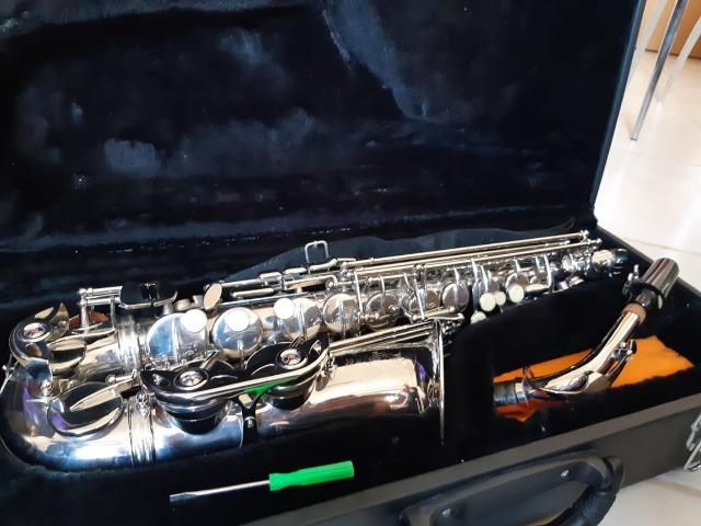 Sax Parrot - Foto 3