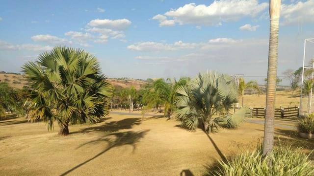 Fazenda Inhumas - Foto 10
