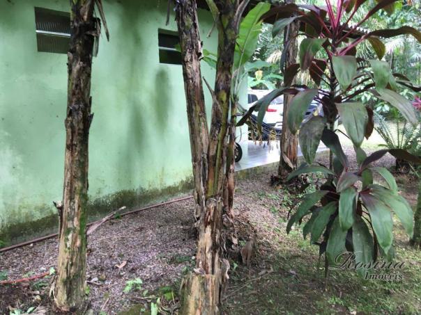 Chácara com 3 dormitórios à venda, 3100 m² por r$ 195.000,00 - porto de cima - morretes/pr - Foto 18