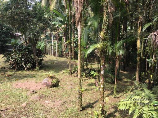 Chácara com 3 dormitórios à venda, 3100 m² por r$ 195.000,00 - porto de cima - morretes/pr - Foto 5