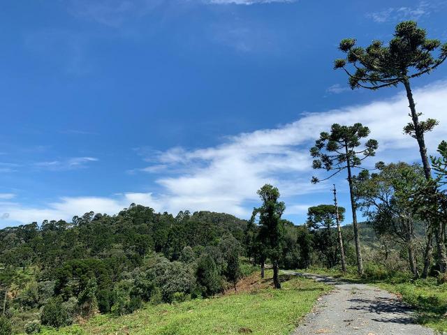 Venda de Chácaras em Urubici - Foto 14