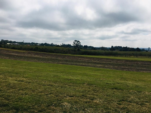 Área Rural em São José dos Pinhais - Foto 7