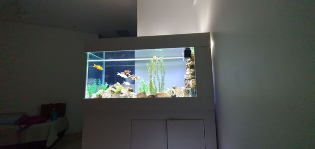 Aquário 300 litros