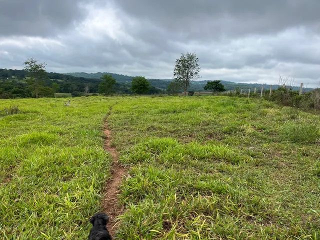Vendo chácara  - Foto 4