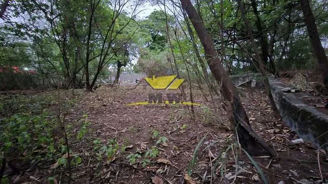 EXCELENTE TERRENO EM CASCADURA ! - Foto 5