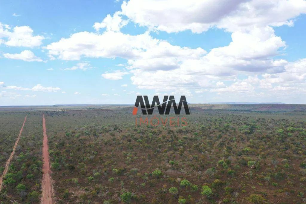 Fazenda à venda, 116644000 m² por R$ 53.020.000,00 - Rural - Lizarda/TO - Foto 3