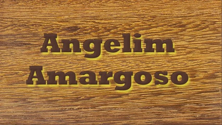 Portal angelin 14cm $ 129,9 - Foto 2