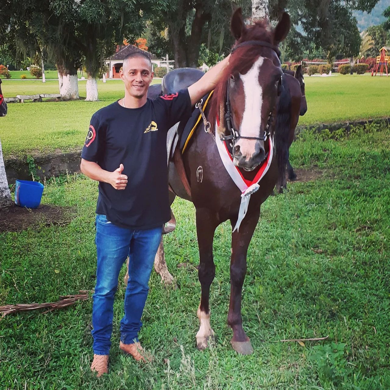 Cavalo Mangalarga Marchador - Foto 2