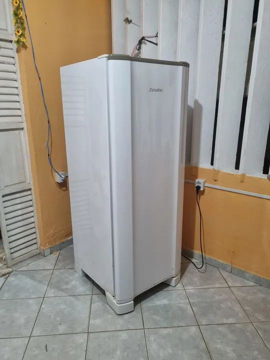 GELADEIRA ESMALTEC DEGELO ROC31 COM 245-LITROS 