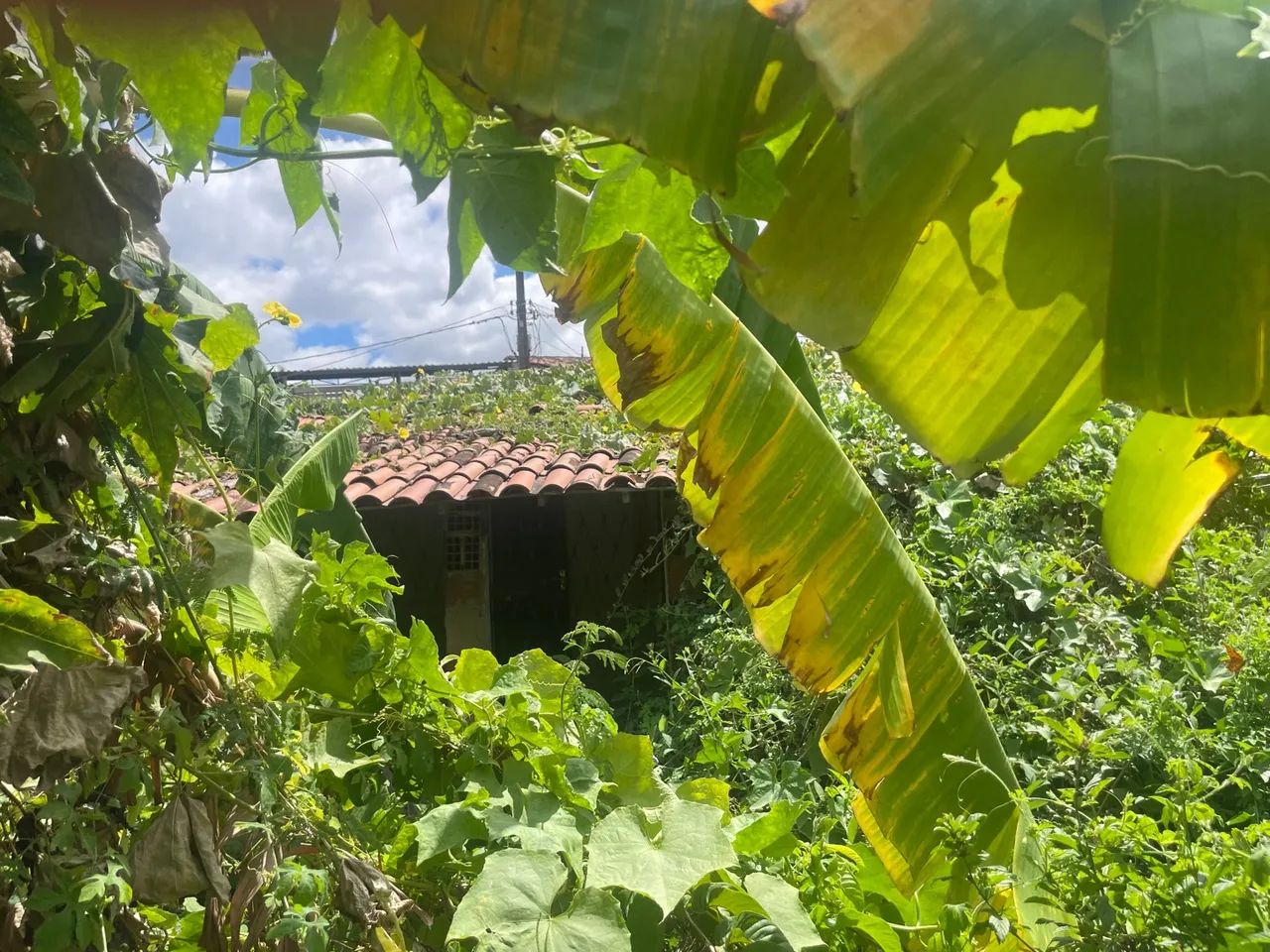 foto - Campina Grande - Quarenta