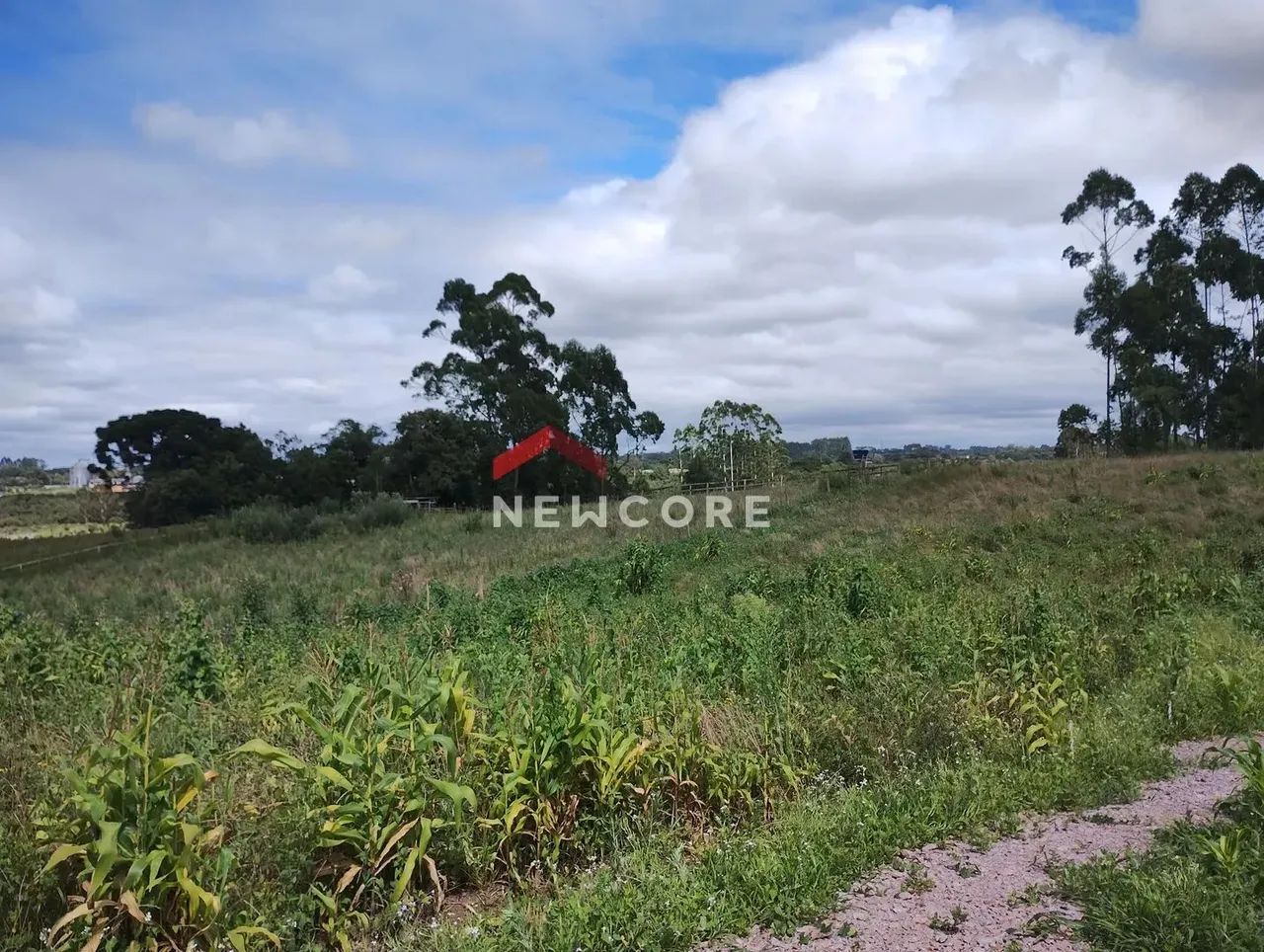 Lote em Rua Hermenegildo Soares Machado - Roseira de São Sebastião - São José dos Pinhais/ - Foto 4