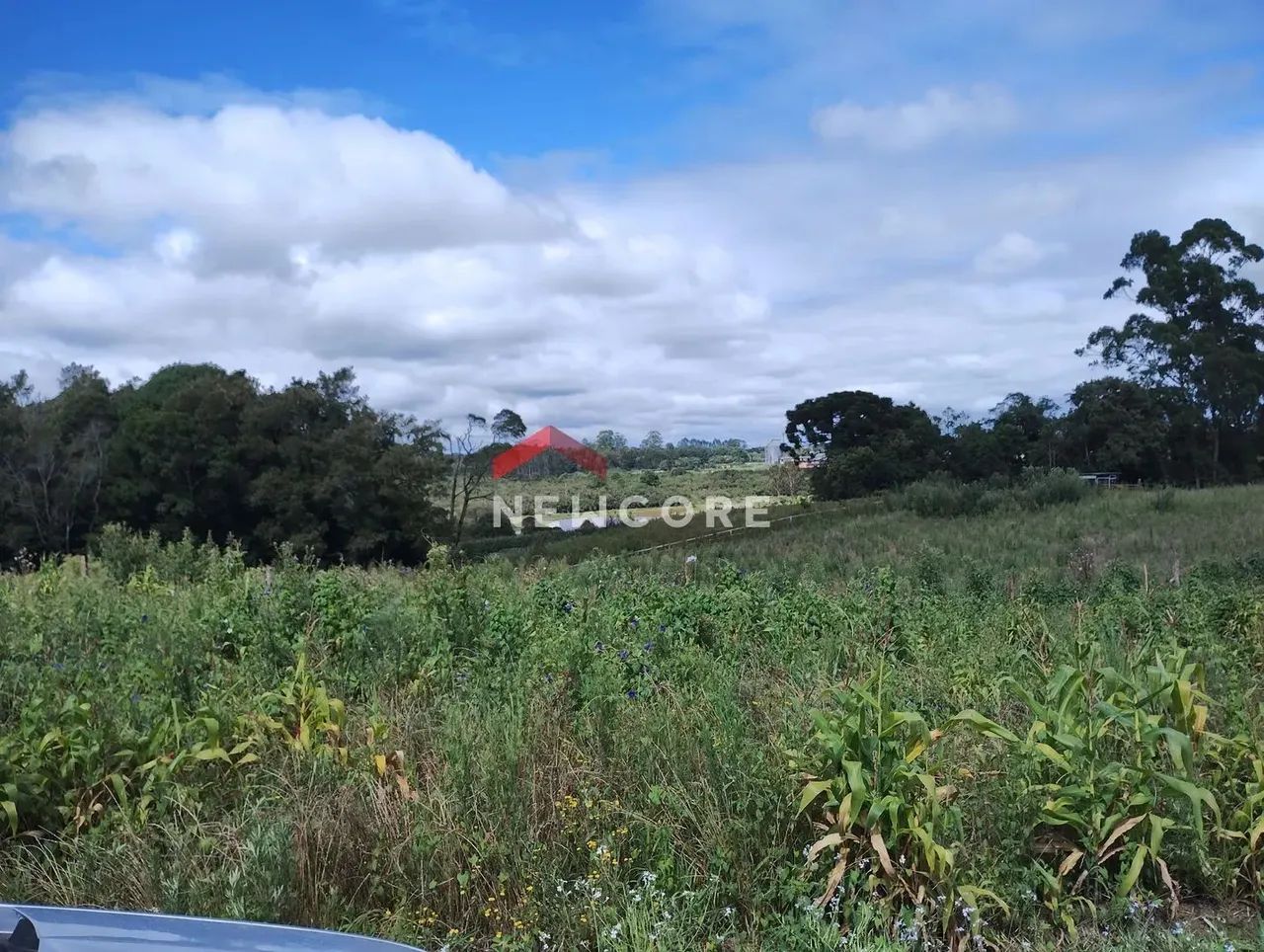 Lote em Rua Hermenegildo Soares Machado - Roseira de São Sebastião - São José dos Pinhais/
