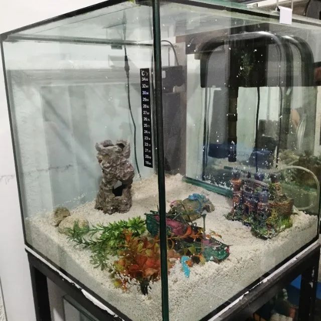  Vendo Aquário 50 X 50 X 50 - 125 Litros - Foto 6