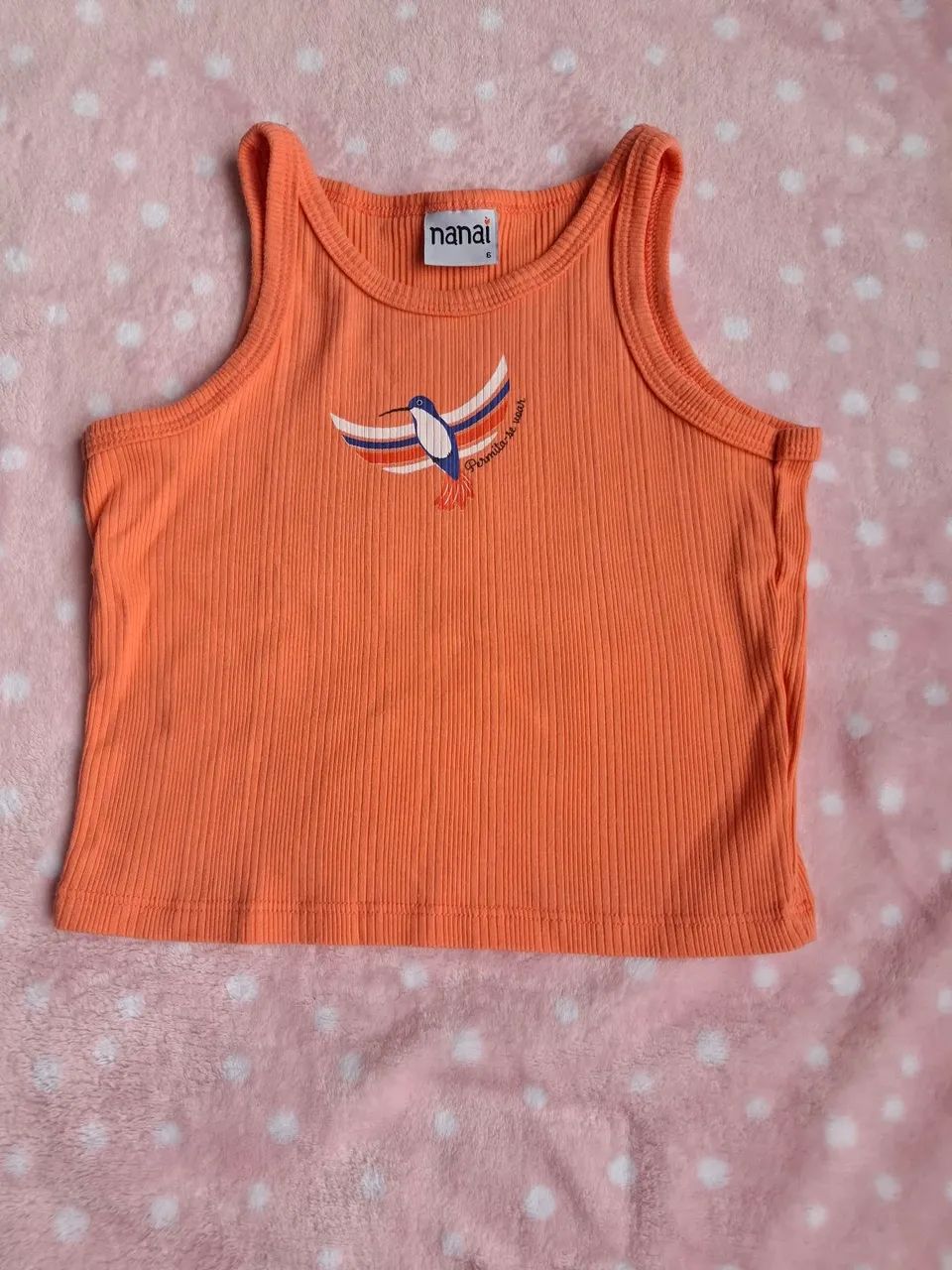 Regata infantil - Nanai