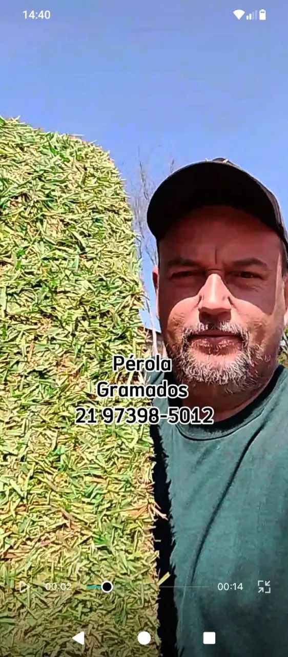 Grama Esmeralda Natural e plantio de Grama - Foto 4